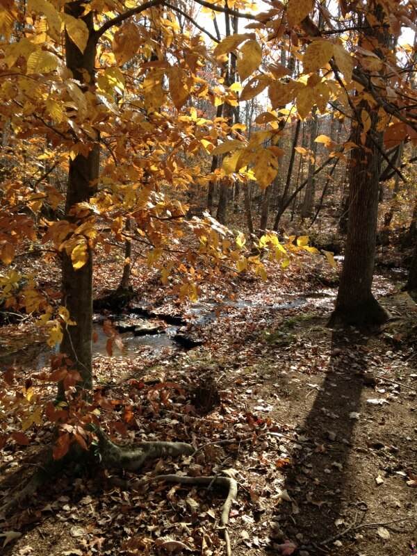 Tract 4 at Sugartree Falls in Wayne County, Tennessee
