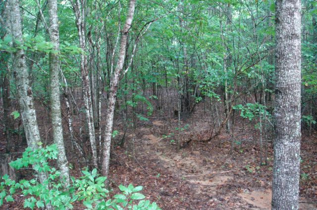 Tract 41 at Sugartree Falls in Wayne County, Tennessee
