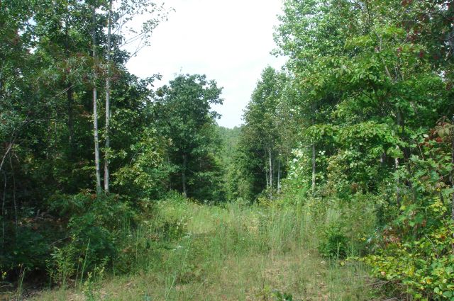Tract 49 at Sugartree Falls in Wayne County, Tennessee