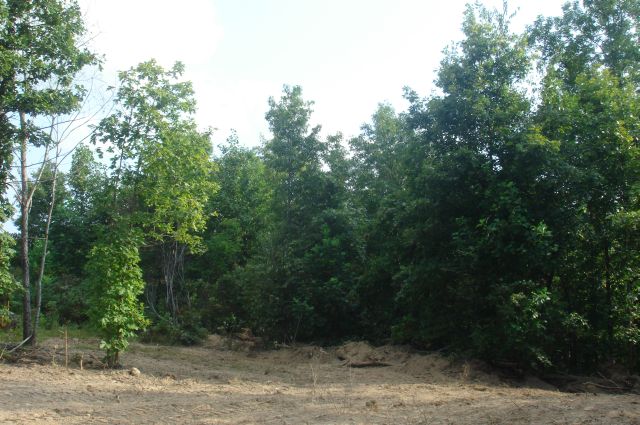 Tract 6 at Sugartree Falls in Wayne County, Tennessee