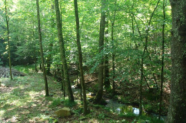 Tract 8 at Sugartree Falls in Wayne County, Tennessee