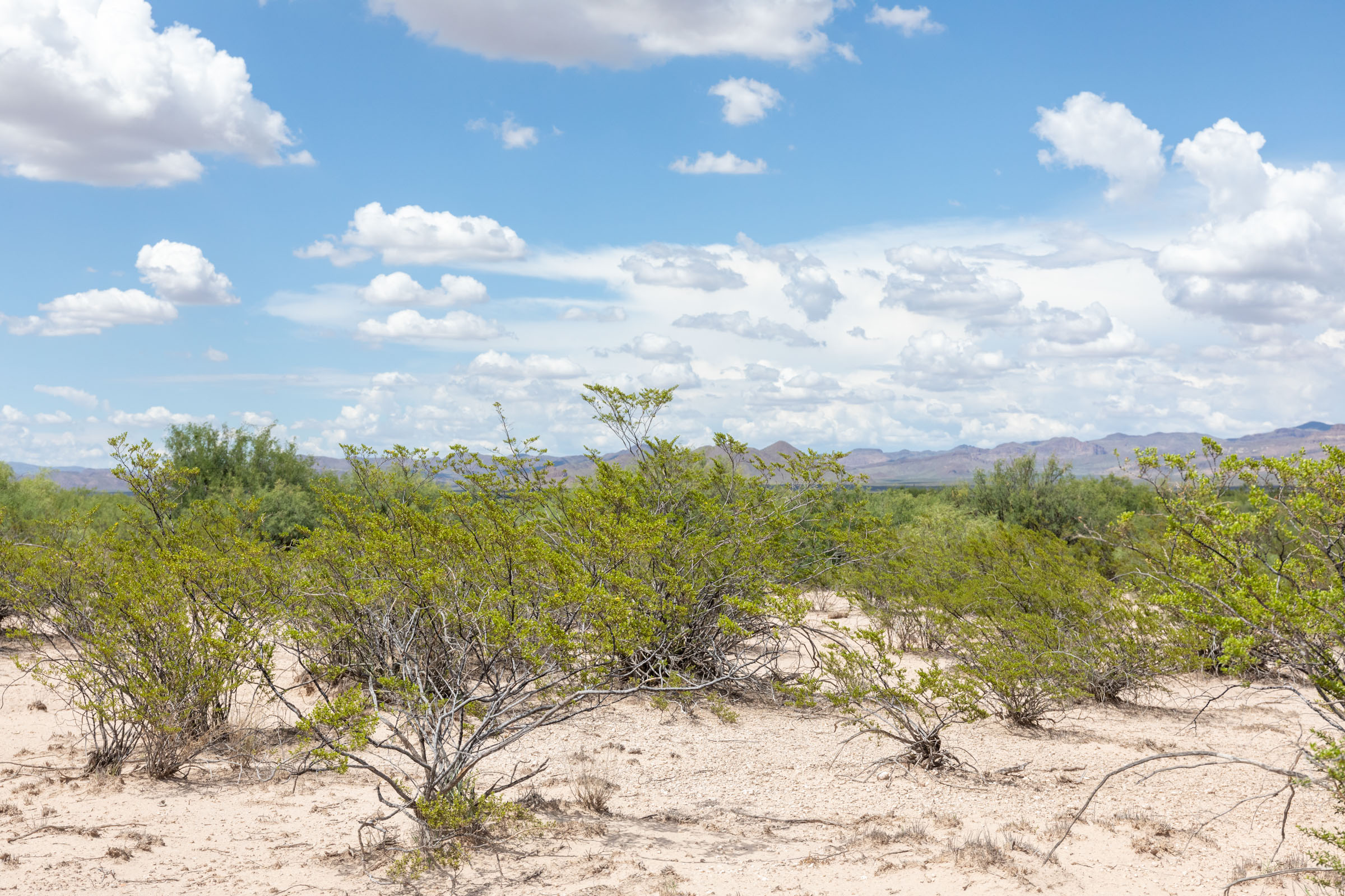 Tract 7 at Horizons Edge in Cochise County, Arizona