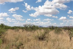 property photo for Horizons Edge Tract 8, 42.1 acres for sale in Cochise County, Arizona