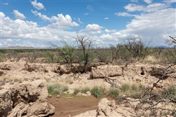 property photo for Horizons Edge Tract 8, 42.1 acres for sale in Cochise County, Arizona