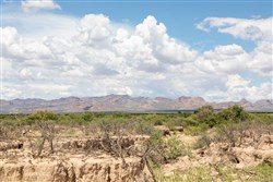 property photo for Horizons Edge Tract 8, 42.1 acres for sale in Cochise County, Arizona