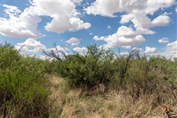 property photo for Horizons Edge Tract 8, 42.1 acres for sale in Cochise County, Arizona