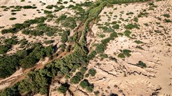 property photo for Horizons Edge Tract 8, 42.1 acres for sale in Cochise County, Arizona