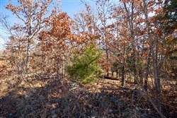 property photo for Dutchmanhollow Tract 1, 7.05 acres for sale in Fulton County, Arkansas