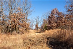 property photo for Dutchmanhollow Tract 1, 7.05 acres for sale in Fulton County, Arkansas