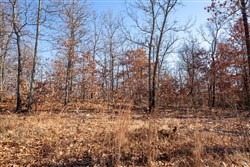 property photo for Dutchmanhollow Tract 1, 7.05 acres for sale in Fulton County, Arkansas