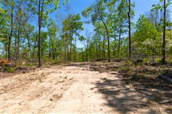 property photo for Lazybrook Tract 13, 6.56 acres for sale in Fulton County, Arkansas