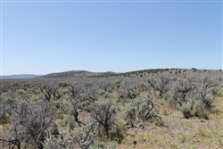 property photo for Moon Valley Ranch Tract 331, 20.2 acres for sale in Lassen County, California