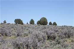 property photo for Moon Valley Ranch Tract 331, 20.2 acres for sale in Lassen County, California
