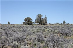 property photo for Moon Valley Ranch Tract 331, 20.2 acres for sale in Lassen County, California