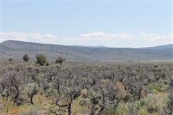 property photo for Moon Valley Ranch Tract 331, 20.2 acres for sale in Lassen County, California