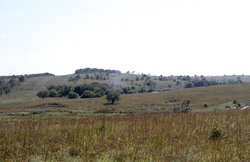 property photo for Cowboy Meadows Tract 21, 8.97 acres for sale in Chautauqua County, Kansas