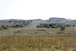 property photo for Cowboy Meadows Tract 21, 8.97 acres for sale in Chautauqua County, Kansas