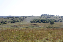 property photo for Cowboy Meadows Tract 21, 8.97 acres for sale in Chautauqua County, Kansas
