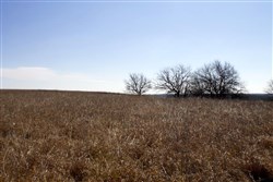 property photo for Cowboy Meadows Tract 21, 8.97 acres for sale in Chautauqua County, Kansas