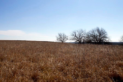 property photo for Cowboy Meadows Tract 21, 8.97 acres for sale in Chautauqua County, Kansas