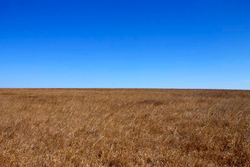 property photo for Cowboy Meadows Tract 21, 8.97 acres for sale in Chautauqua County, Kansas