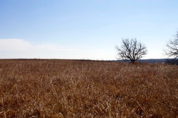property photo for Cowboy Meadows Tract 21, 8.97 acres for sale in Chautauqua County, Kansas