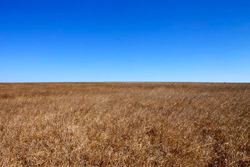 property photo for Cowboy Meadows Tract 21, 8.97 acres for sale in Chautauqua County, Kansas