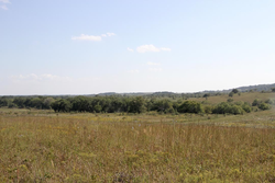 property photo for Cowboy Meadows Tract 21, 8.97 acres for sale in Chautauqua County, Kansas
