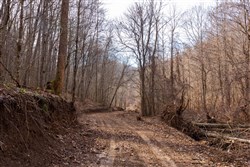 property photo for Blackstone Mountain Phase II Tract 59, 34.95 acres for sale in Clay County, Kentucky