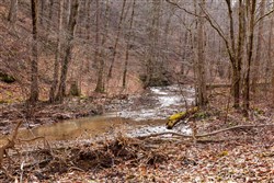 property photo for Blackstone Mountain Phase II Tract 59, 34.95 acres for sale in Clay County, Kentucky