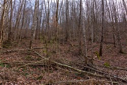 property photo for Blackstone Mountain Phase II Tract 59, 34.95 acres for sale in Clay County, Kentucky