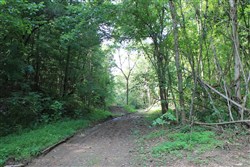 property photo for Cumberland Ridge Ranch Tract 10, 10.91 acres for sale in Cumberland County, Kentucky