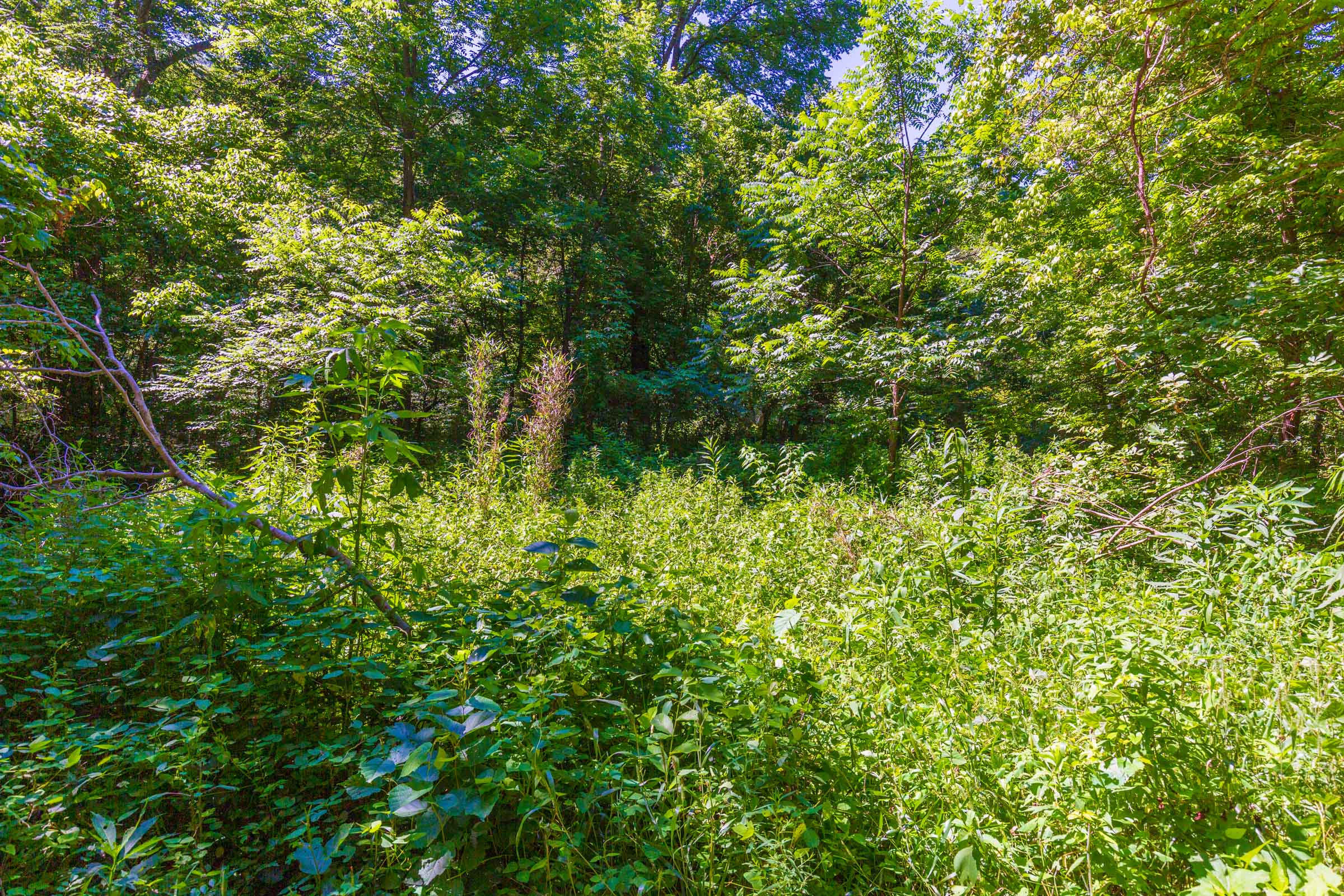 Tract 1 at Rivers Edge in Jackson County, Kentucky