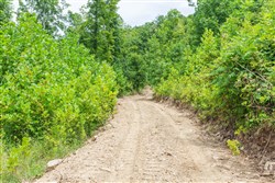 property photo for Rivers Edge Tract 14, 5.09 acres for sale in Jackson County, Kentucky