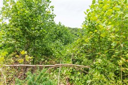 property photo for Rivers Edge Tract 14, 5.09 acres for sale in Jackson County, Kentucky