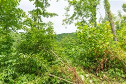 property photo for Rivers Edge Tract 14, 5.09 acres for sale in Jackson County, Kentucky