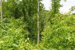 property photo for Rivers Edge Tract 14, 5.09 acres for sale in Jackson County, Kentucky