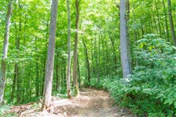 property photo for Rivers Edge Tract 19, 7.36 acres for sale in Jackson County, Kentucky