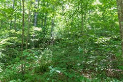 property photo for Rivers Edge Tract 19, 7.36 acres for sale in Jackson County, Kentucky