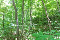 property photo for Rivers Edge Tract 19, 7.36 acres for sale in Jackson County, Kentucky