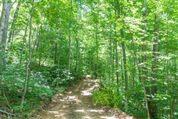 property photo for Rivers Edge Tract 19, 7.36 acres for sale in Jackson County, Kentucky
