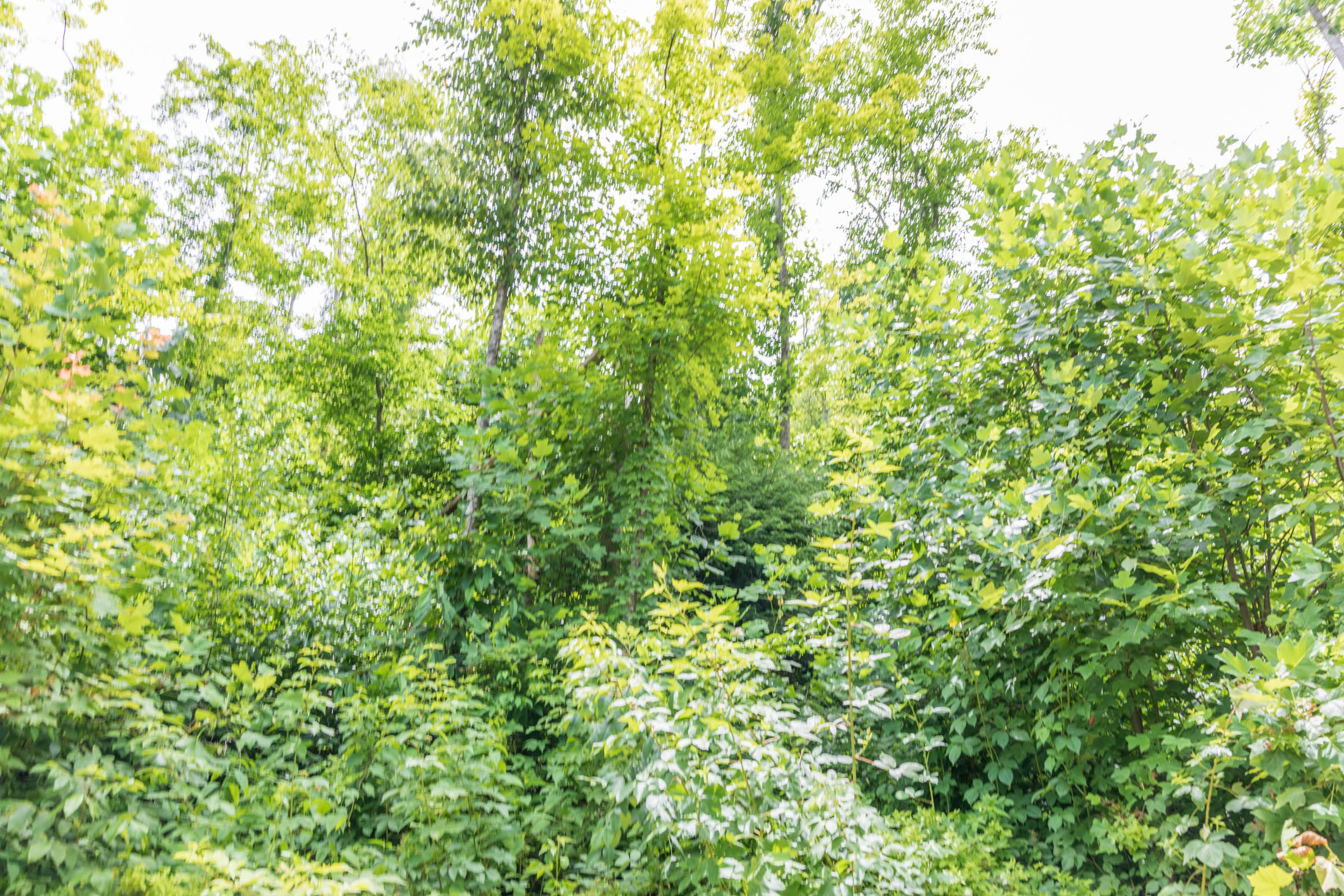 Tract 25 at Rivers Edge in Jackson County, Kentucky