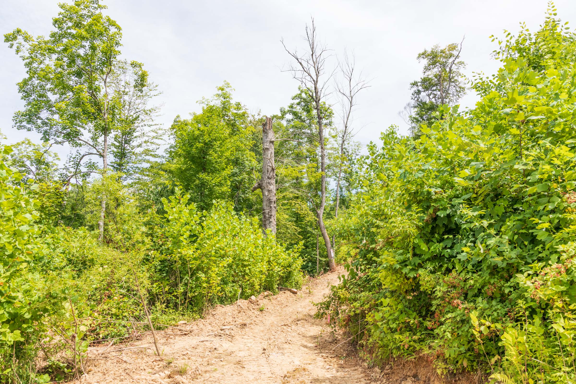 Tract 26 at Rivers Edge in Jackson County, Kentucky