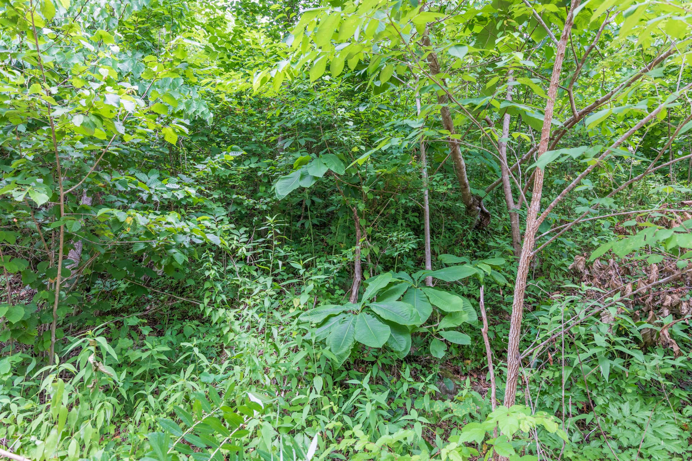Tract 30 at Rivers Edge in Jackson County, Kentucky
