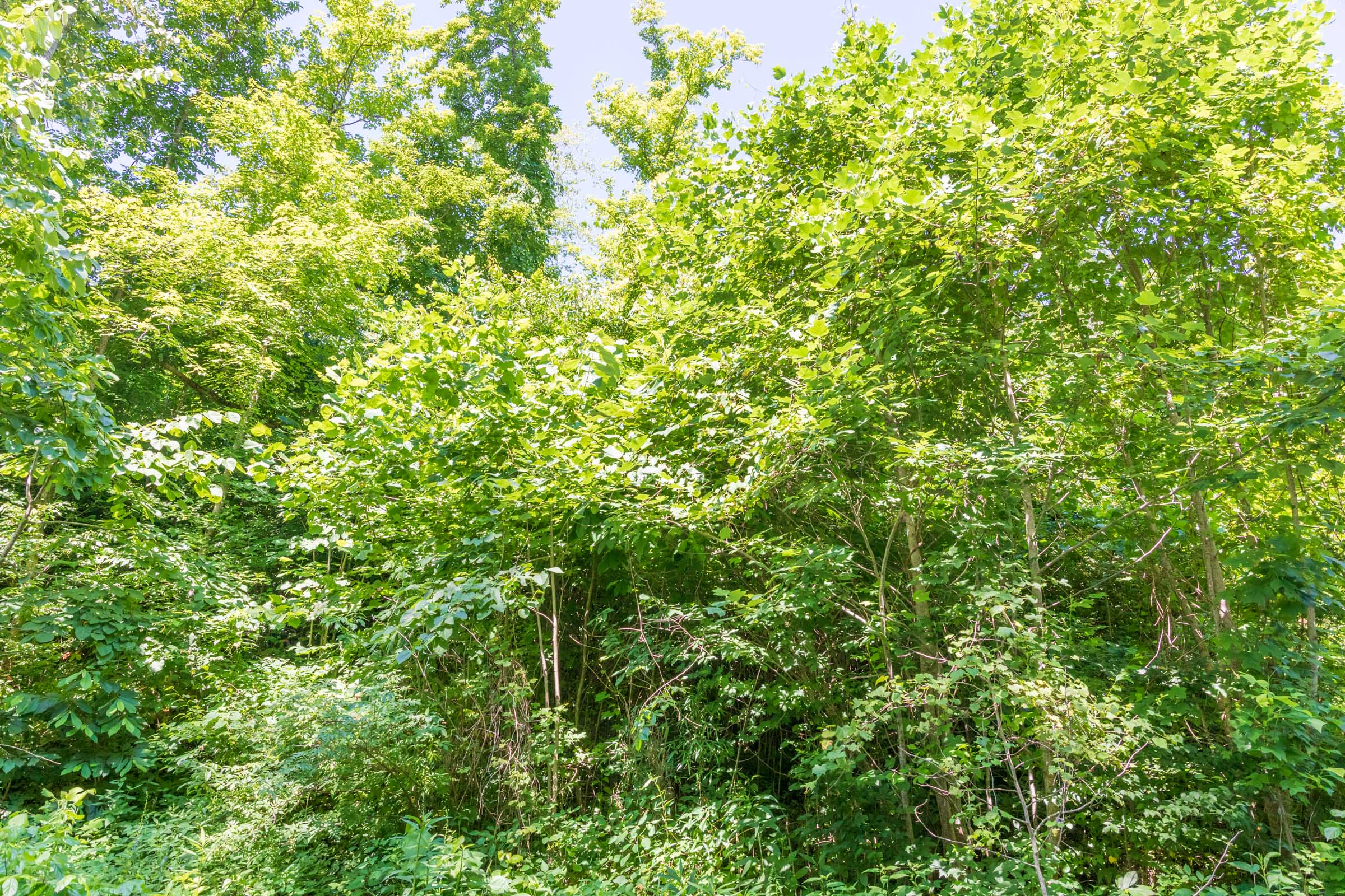 Tract 37 at Rivers Edge in Jackson County, Kentucky