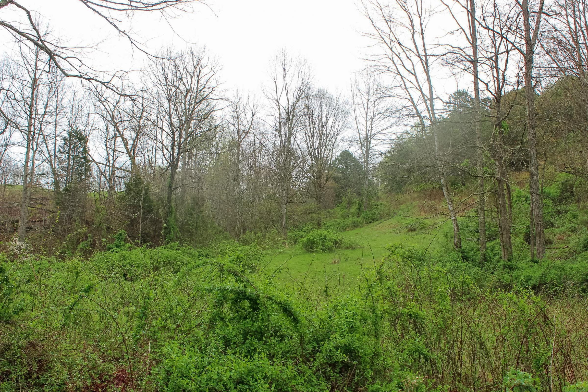 Tract 11 at Serenity Creek in Laurel County, Kentucky