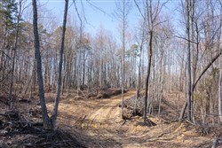 property photo for Creek Hollow Phase I Tract 9, 5.39 acres for sale in Rockcastle County, Kentucky