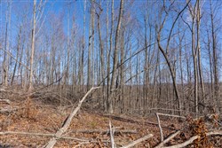 property photo for Creek Hollow Phase I Tract 9, 5.39 acres for sale in Rockcastle County, Kentucky