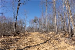property photo for Creek Hollow Phase I Tract 9, 5.39 acres for sale in Rockcastle County, Kentucky
