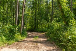 property photo for Creek Hollow Phase II Tract 67, 6.76 acres for sale in Rockcastle County, Kentucky